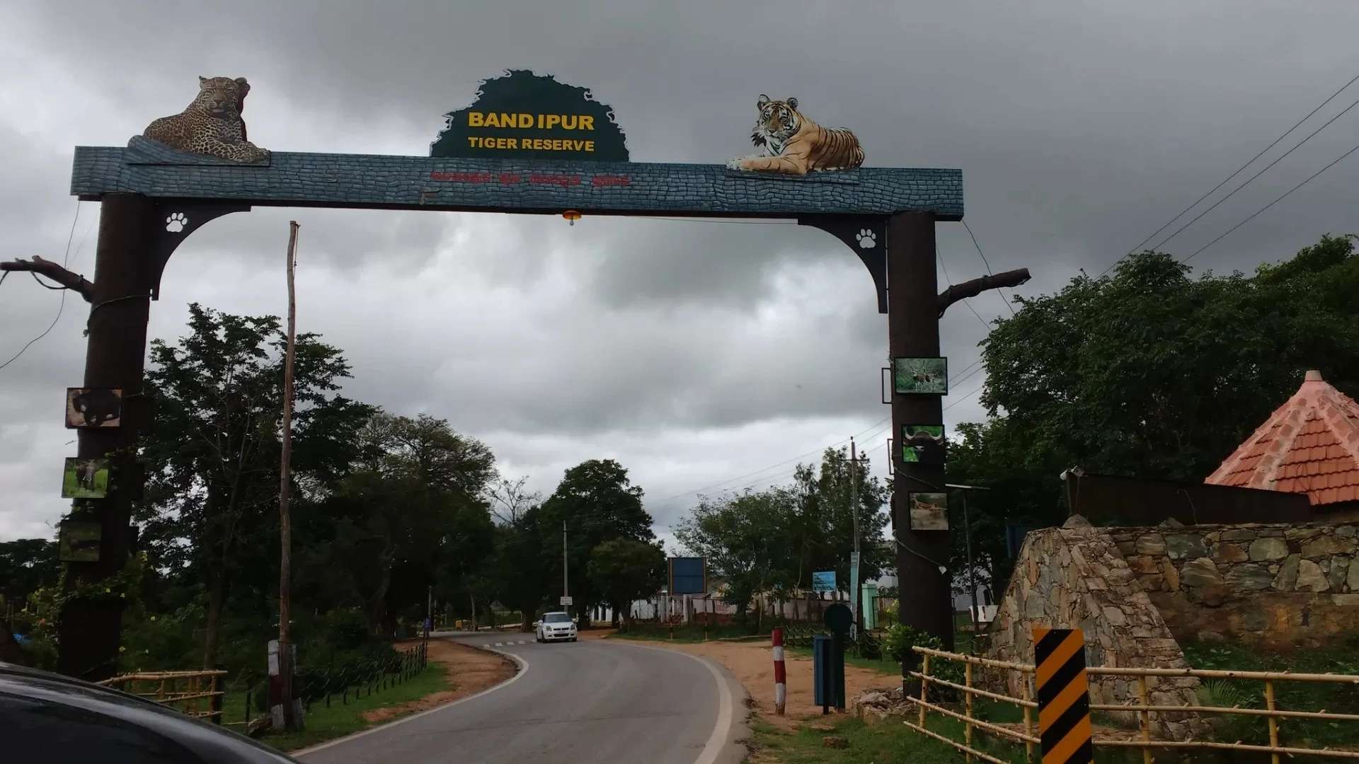Bandipur National Park